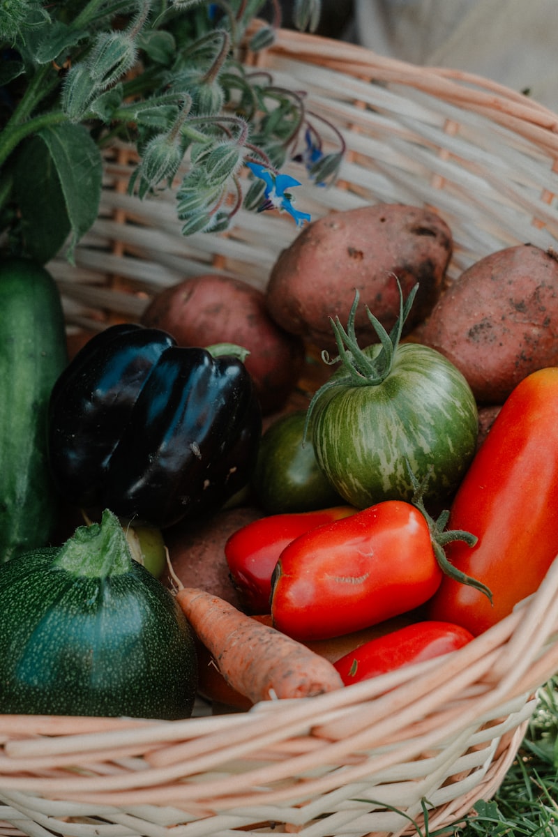 Tomaten und Kräuter im Hochbeet
